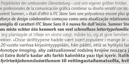 ITC Stone Sans II Font Poster 5